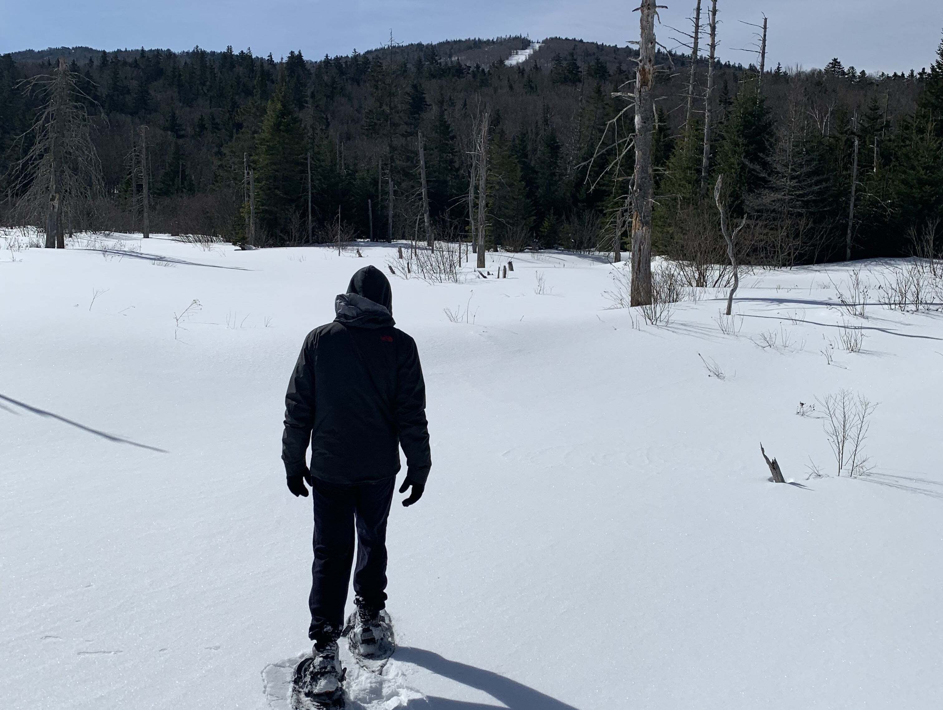 A person snowshoeing in a snowy landscape with trees and a hill in the background.