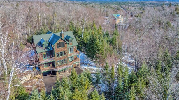 Un grand chalet à plusieurs étages, doté d’un toit végétalisé, entouré d’une forêt dense et bordé, au loin, de montagnes enneigées.