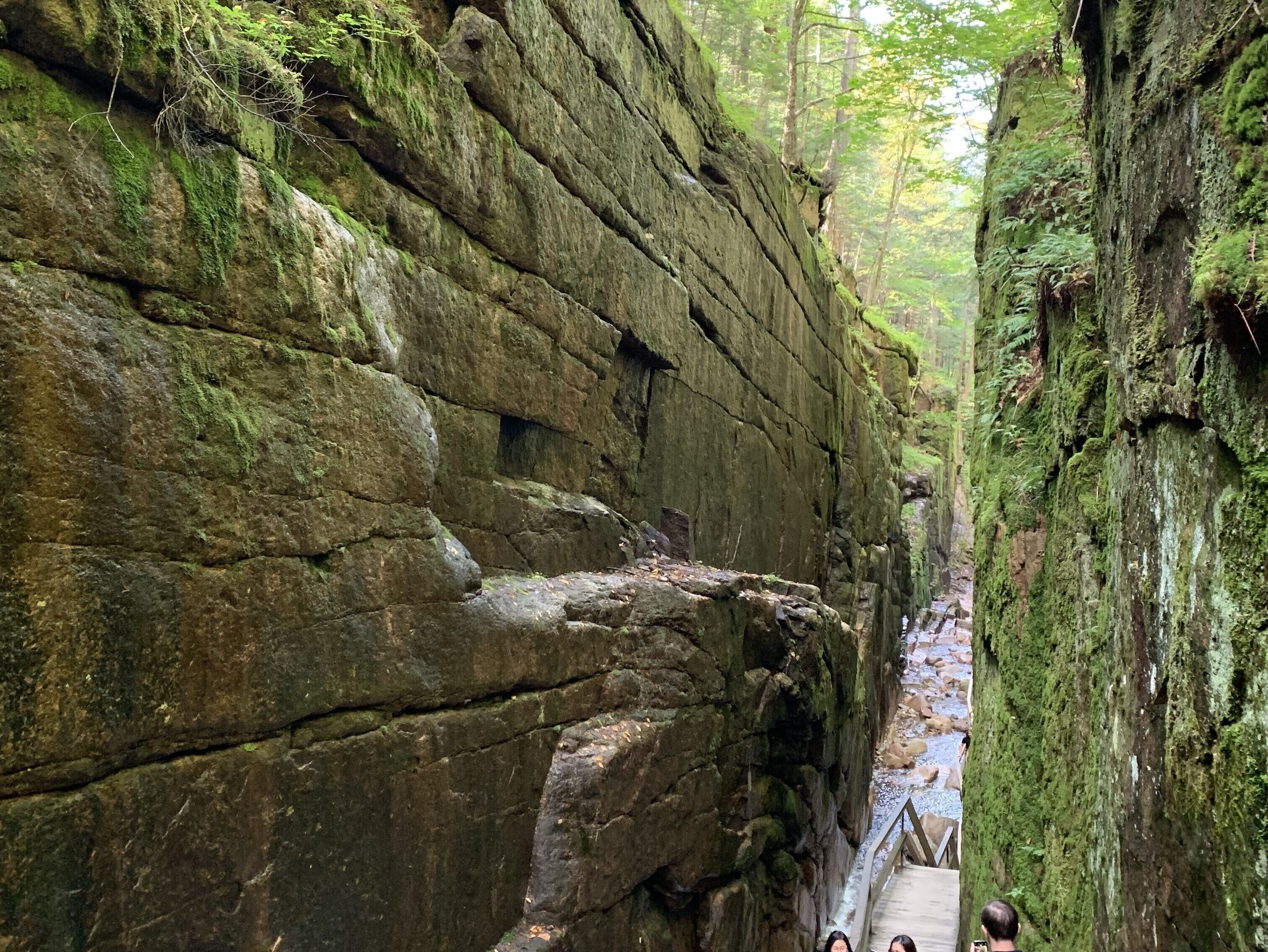 公寓 (3 Bedrooms) | 住宿內部