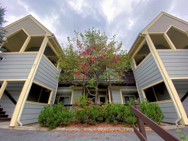 Front of property - Sc27 Family Style Bretton Woods Condo (Bretton Woods)