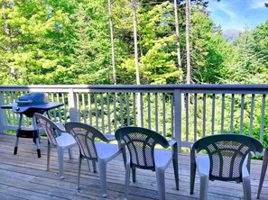 Interior - Rb24 Renovated, AC, Ski-in out Bretton Woods Townhome (Bretton Woods)