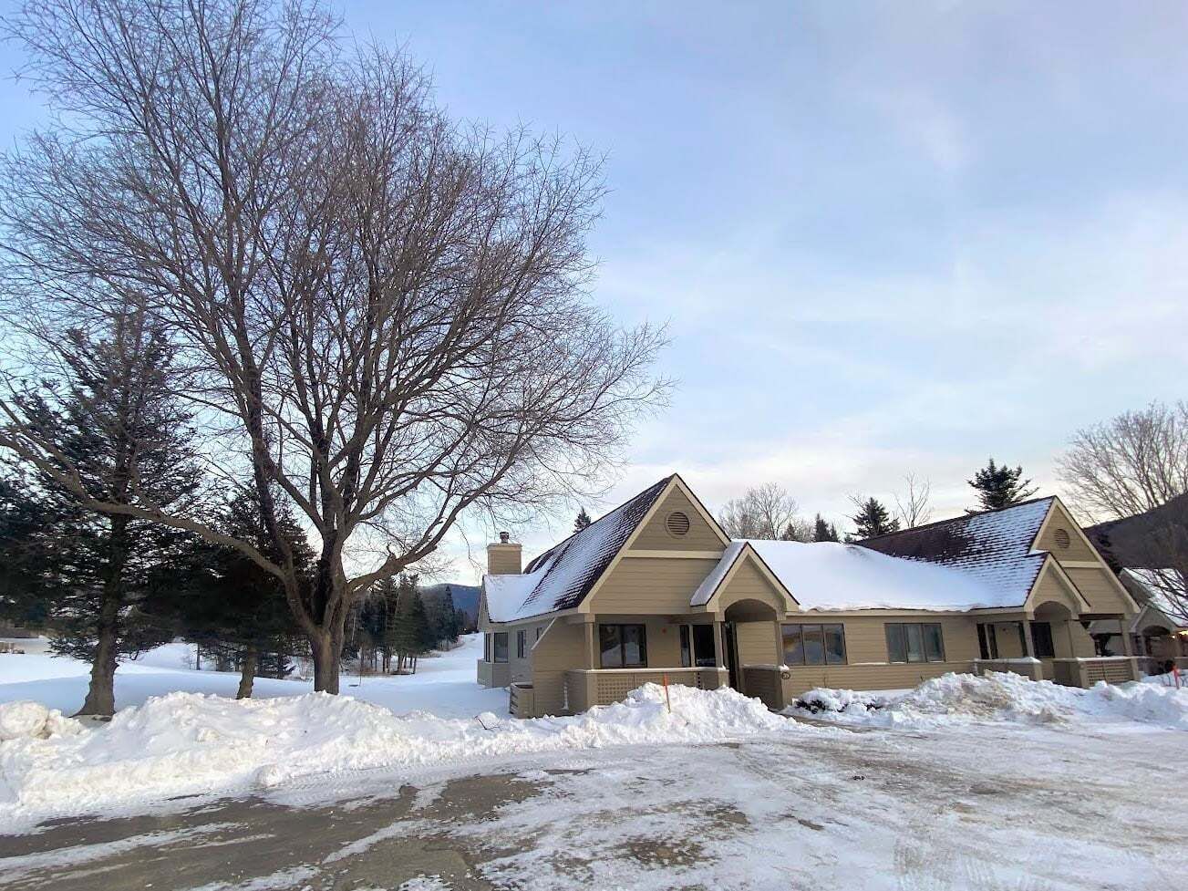 A two-story house with a snow-covered roof and a large tree in front.