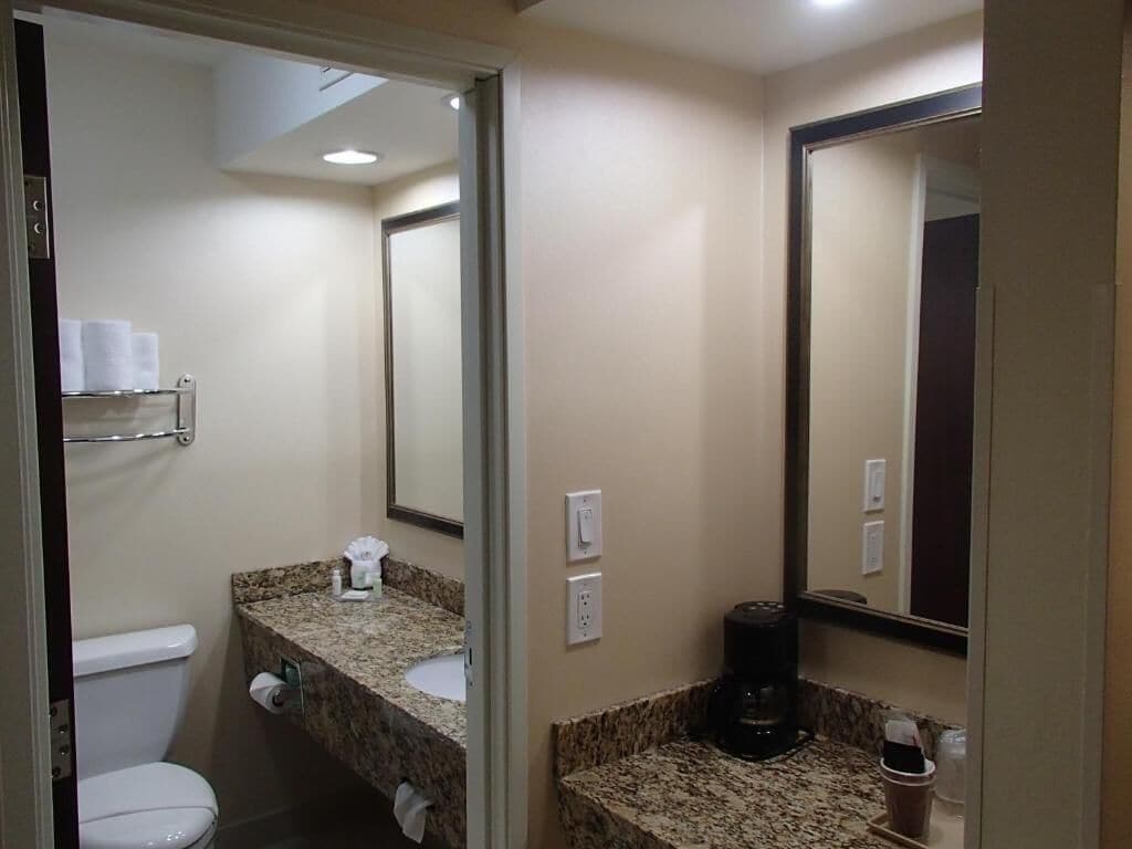 A bathroom with a toilet, sink, and coffee maker.