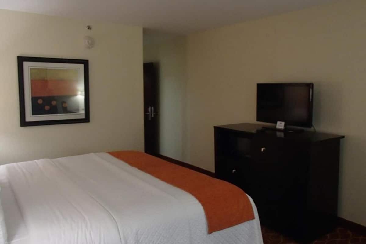 Standard Single Room | Langsir/tirai gelap terus, seterika/papan seterika, Wi-fi percuma