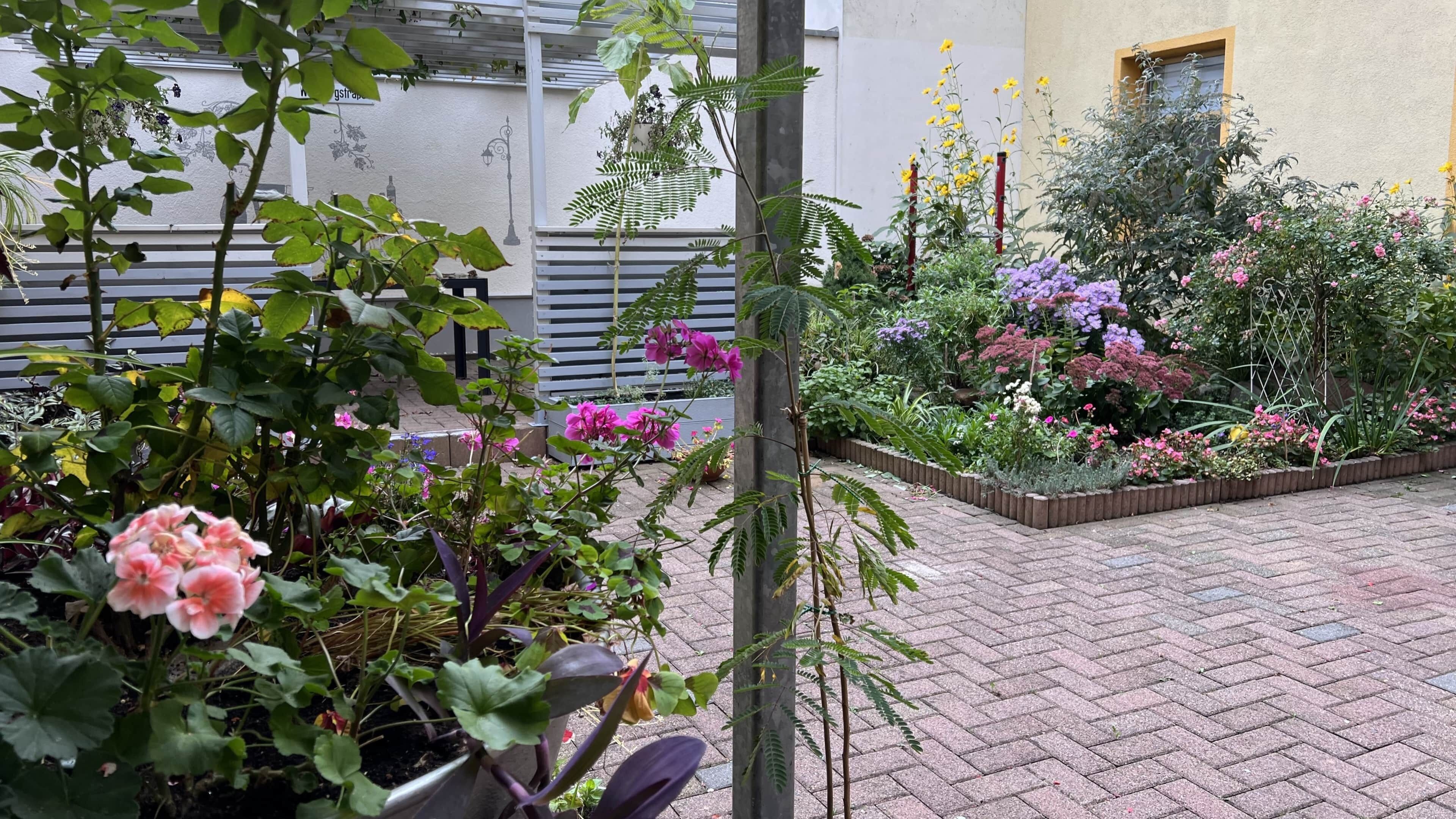 Terrein van de accommodatie