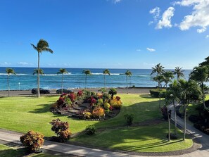 Property grounds - Paradise Found: Ocean view 1‑Bedroom Condo Available May 23rd - May30th (Koloa)