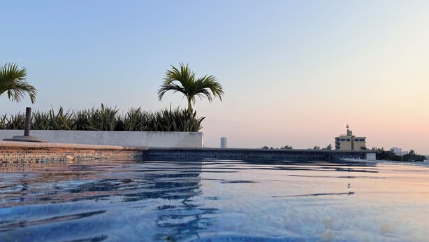 A pool area with two palm trees, a tiled deck, and a view of distant buildings.