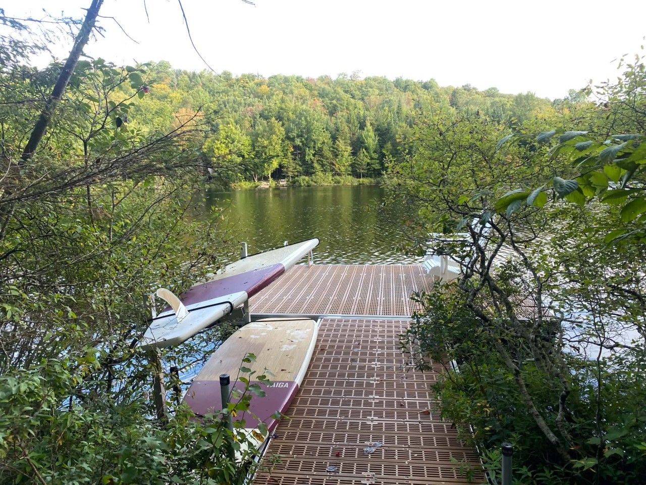 Un quai où sont amarrés des bateaux, entouré d’une végétation luxuriante et bordé par un lac.