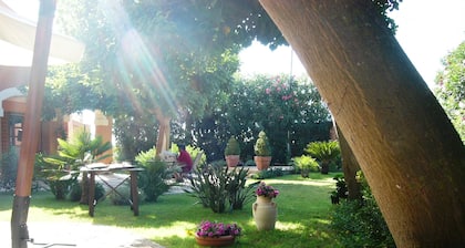 Singing in the Wind - Kite Villa Stagnone