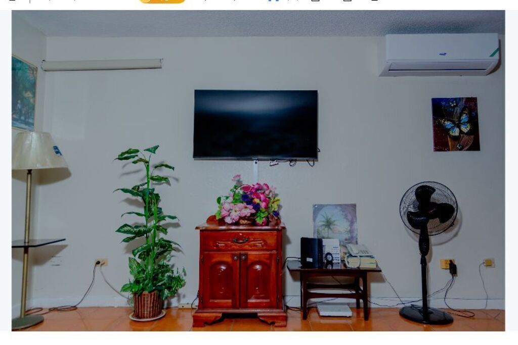 Una sala de estar con televisor, planta, ventilador y aparador.