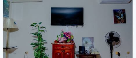 Una sala de estar con televisor, planta, ventilador y aparador.