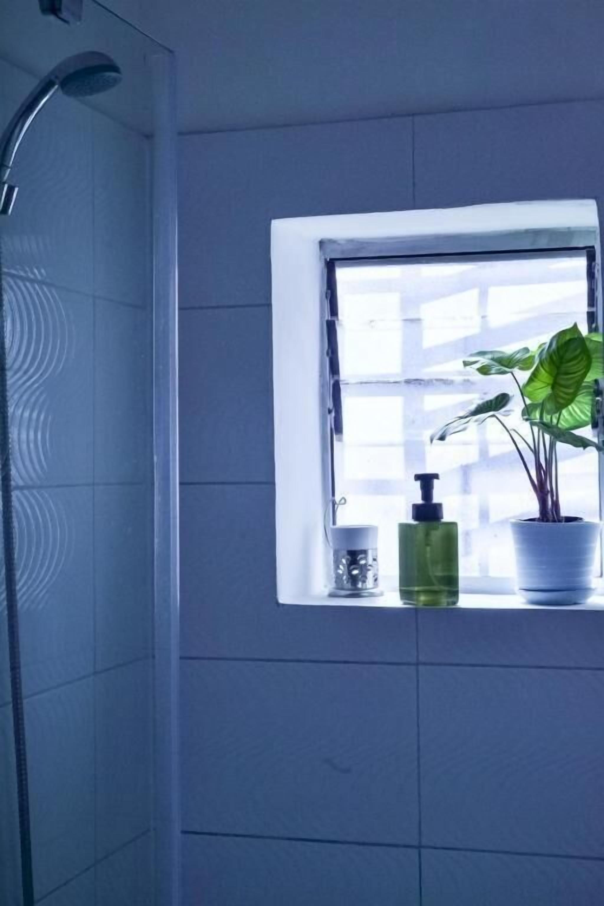 Habitación cuádruple, vistas al jardín | Baño | Ducha