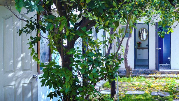 Un bâtiment avec une porte blanche, une porte bleue et un petit jardin agrémenté d’un arbre et de quelques feuilles éparpillées.