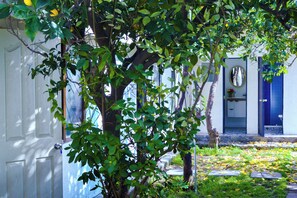Ένα κτίριο με μια λευκή πόρτα, μια μπλε πόρτα και μια μικρή κηπουρική περιοχή με ένα δέντρο και μερικά φύλλα σκορπισμένα στο έδαφος.