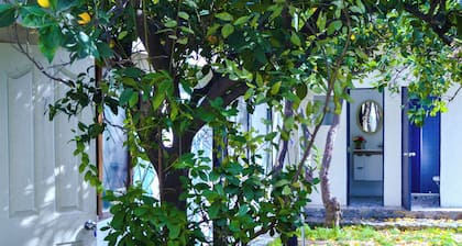 Alojamiento Estadio Nacional