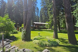 المنطقة المحيطة بالمنشأة