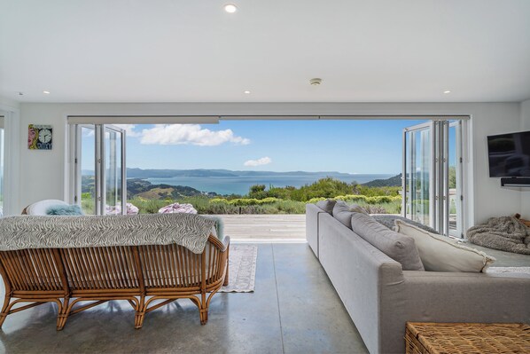 Televisión y chimenea 