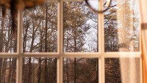 A window with a view of a forested area. - Special Price! Charming 4-bedroom Farmhouse w/Hot Tub in Peaceful Wears Valley (Sevierville)
