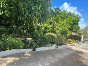 Property grounds - Charming 3-bedroom villa with AC in Duncan's Bay (Duncan's Bay)