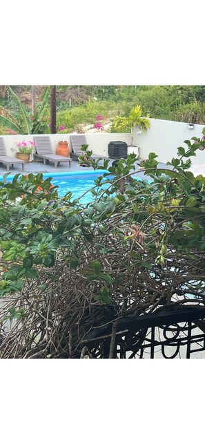 Outdoor pool - Charming 3-bedroom Garden villa with AC in Silversands. The Duncan Bay Area (Duncan's Bay)