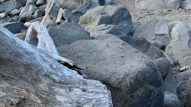 Uma praia rochosa com grandes pedras e destroços de madeira, mar calmo e céu nublado.