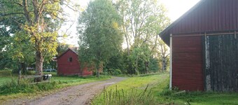 The cosy Annex by the forest