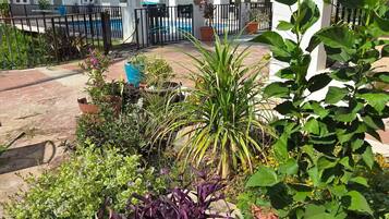 A garden with various potted plants and flowers, a white building, and a pool in the background.