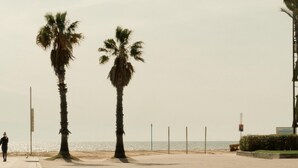 Uma passarela pavimentada com palmeiras e vista para o mar.