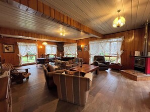 Fernseher, Arbeitsbereiche