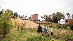 Un cadre rural avec des yourtes et un bâtiment en bois, entouré de verdure et bordé d’un chemin de terre.