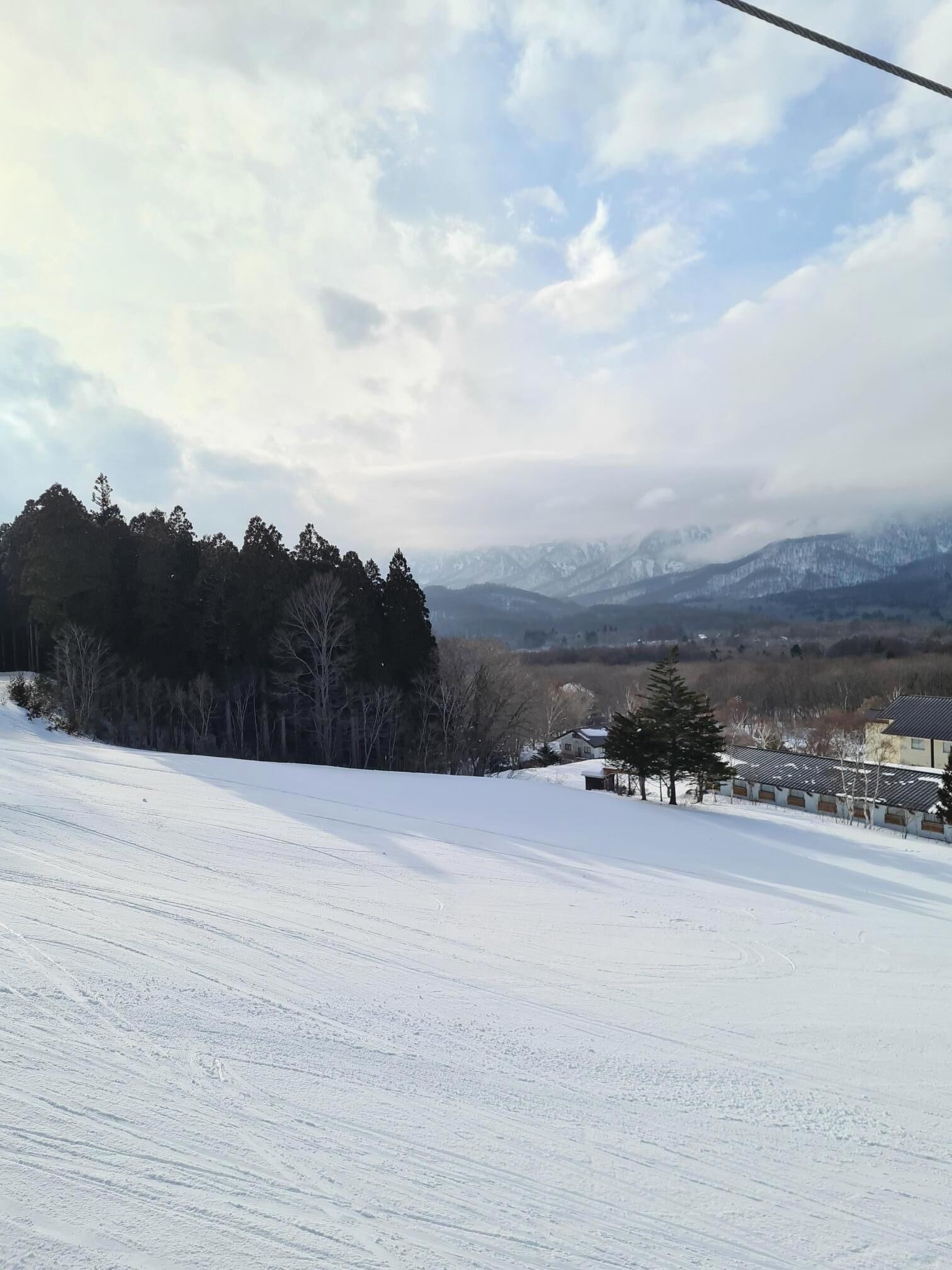 A snowy landscape with a clear sky, a forested area, and distant mountains.