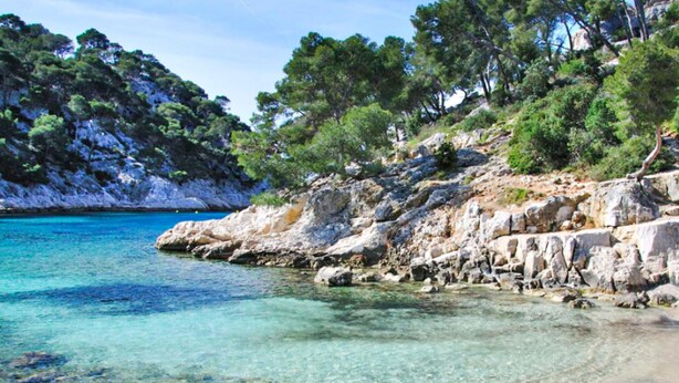 Un littoral rocheux bordé d’une eau turquoise et limpide, entouré d’une végétation luxuriante.