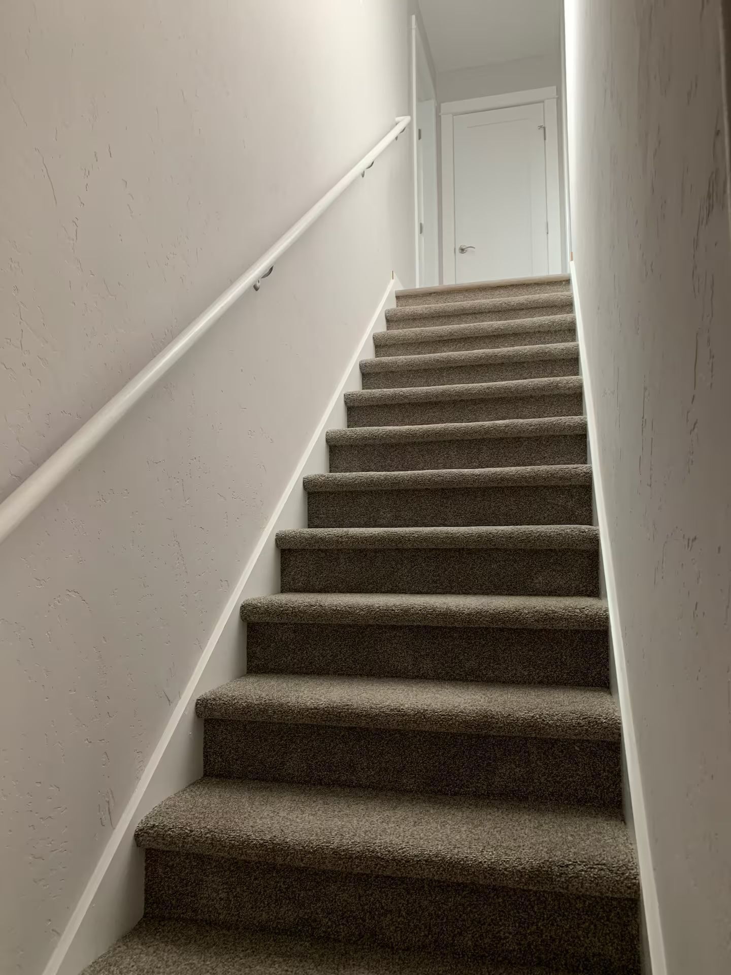 Carpeted indoor staircase with a white handrail leading to the upper level.