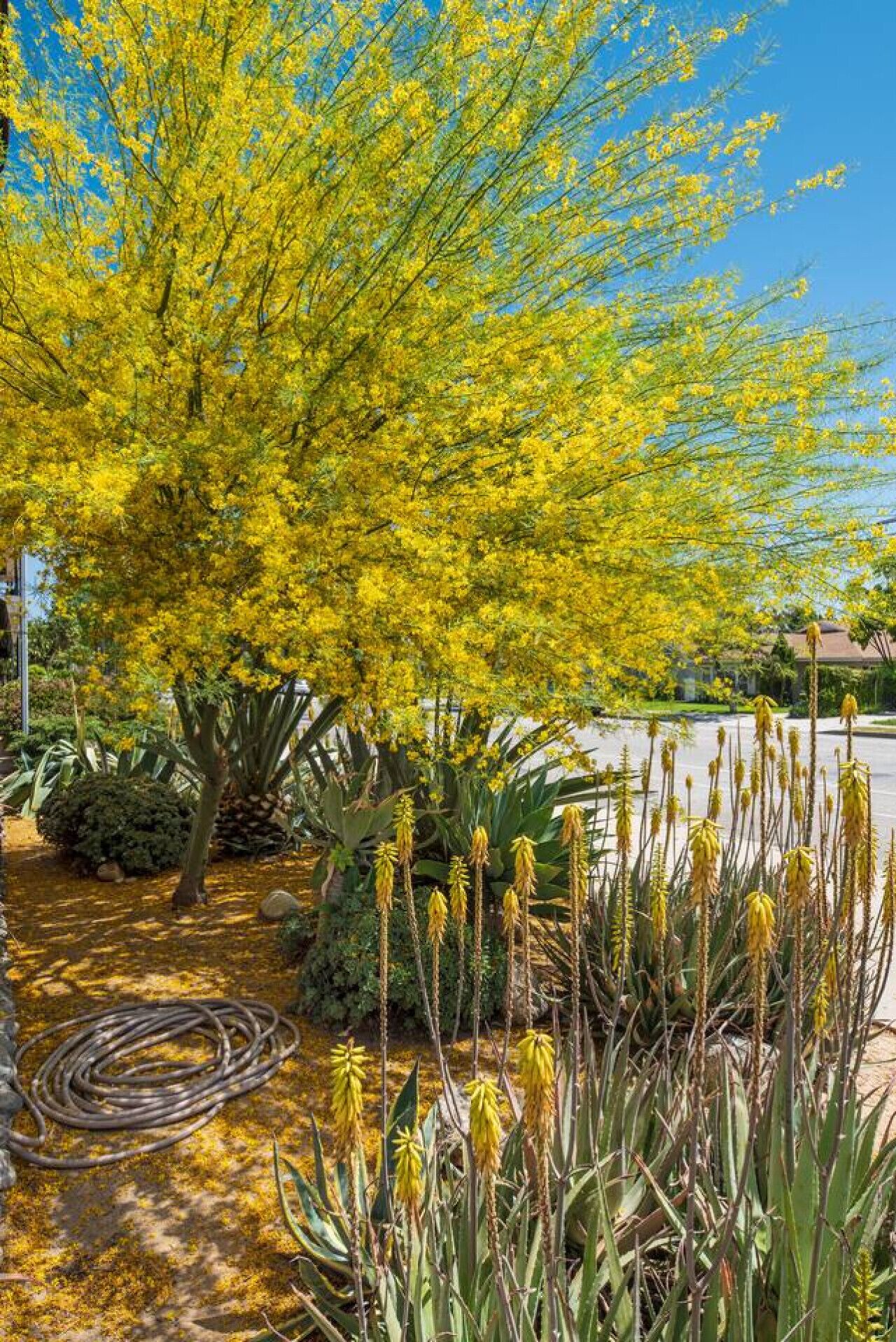 المنطقة المحيطة بالمنشأة