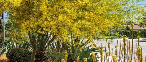 المنطقة المحيطة بالمنشأة