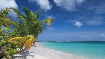 Una playa con aguas turquesas cristalinas, arena blanca y palmeras.