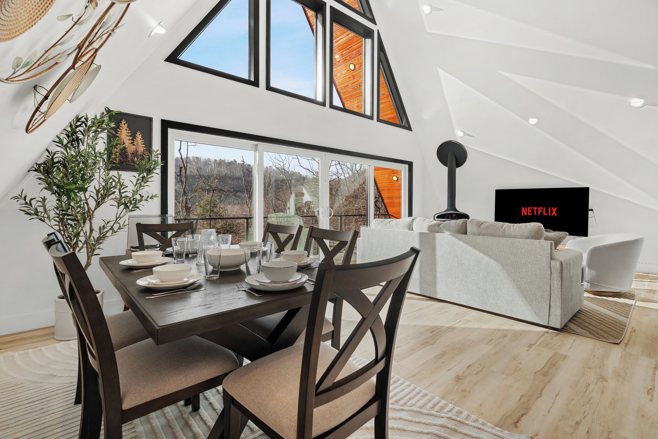 Smart TV, video games, books, computer monitors