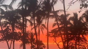 Escena de playa con palmeras siluetas contra un atardecer.