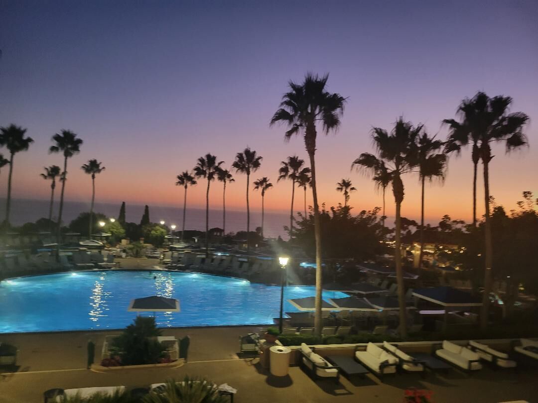 A swimming pool surrounded by palm trees and lounge chairs at dusk.