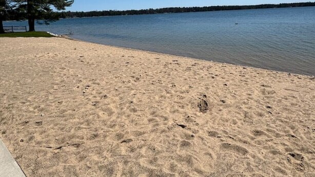 Une plage de sable, un ciel bleu dégagé et un arbre sur la gauche.