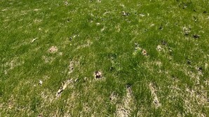 Une aire de jeux avec des toboggans et des balançoires, un espace sablonneux et un terrain herbeux avec des arbres.