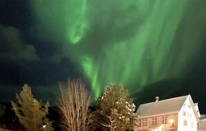 Exterior - 4 bedroom beautiful home in Limingen (Limingen)