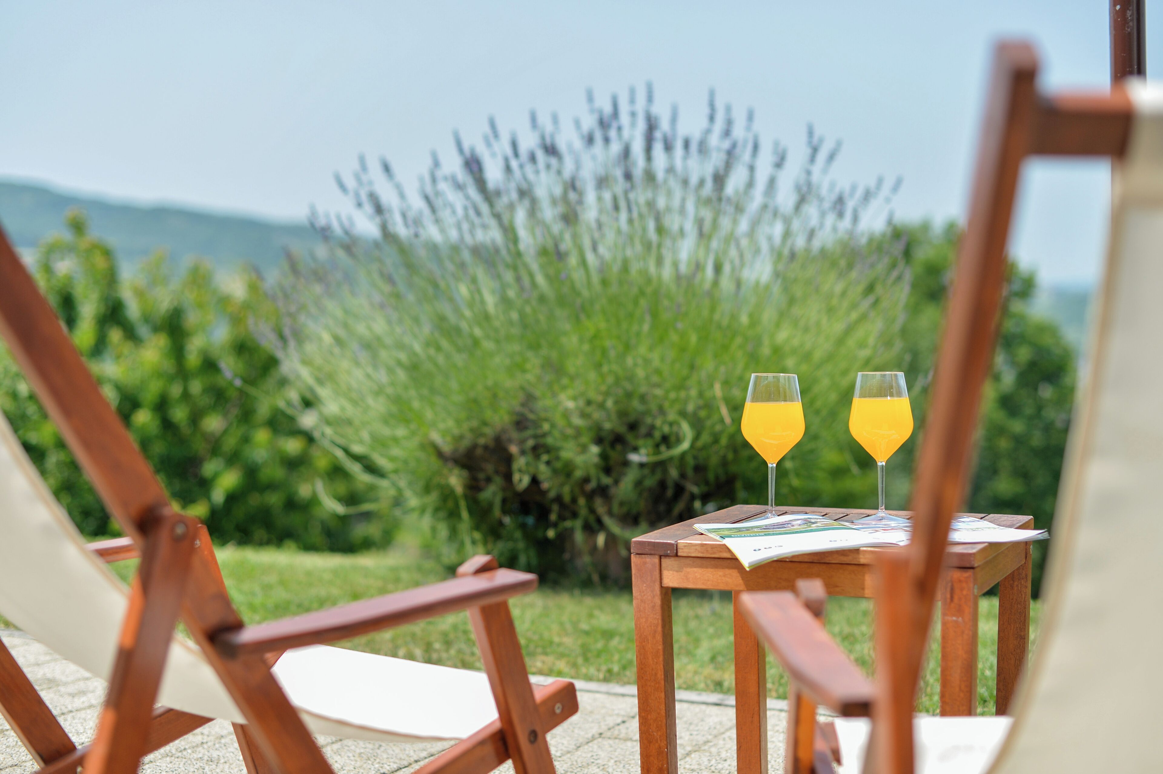 Parco della struttura