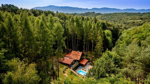 Forest house with private wellness, pool, and activities for the whole family.