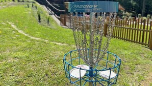 Un panier de disc golf avec une structure métallique bleue et une cible sur le dessus, installé sur un terrain herbeux, avec une clôture en bois et un bâtiment en arrière-plan.