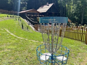 Ein Discgolf-Korb mit blauem Metallgestell und Zielscheibe oben, auf einem Rasenfeld mit Holzzaun und einem Gebäude im Hintergrund.