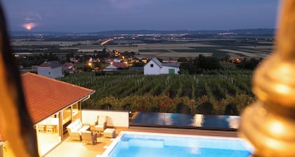 Luxury villa with jacuzzi, sauna and pool surrounded by vineyards