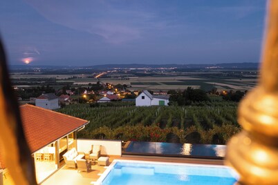 Luxury villa with jacuzzi, sauna and pool surrounded by vineyards