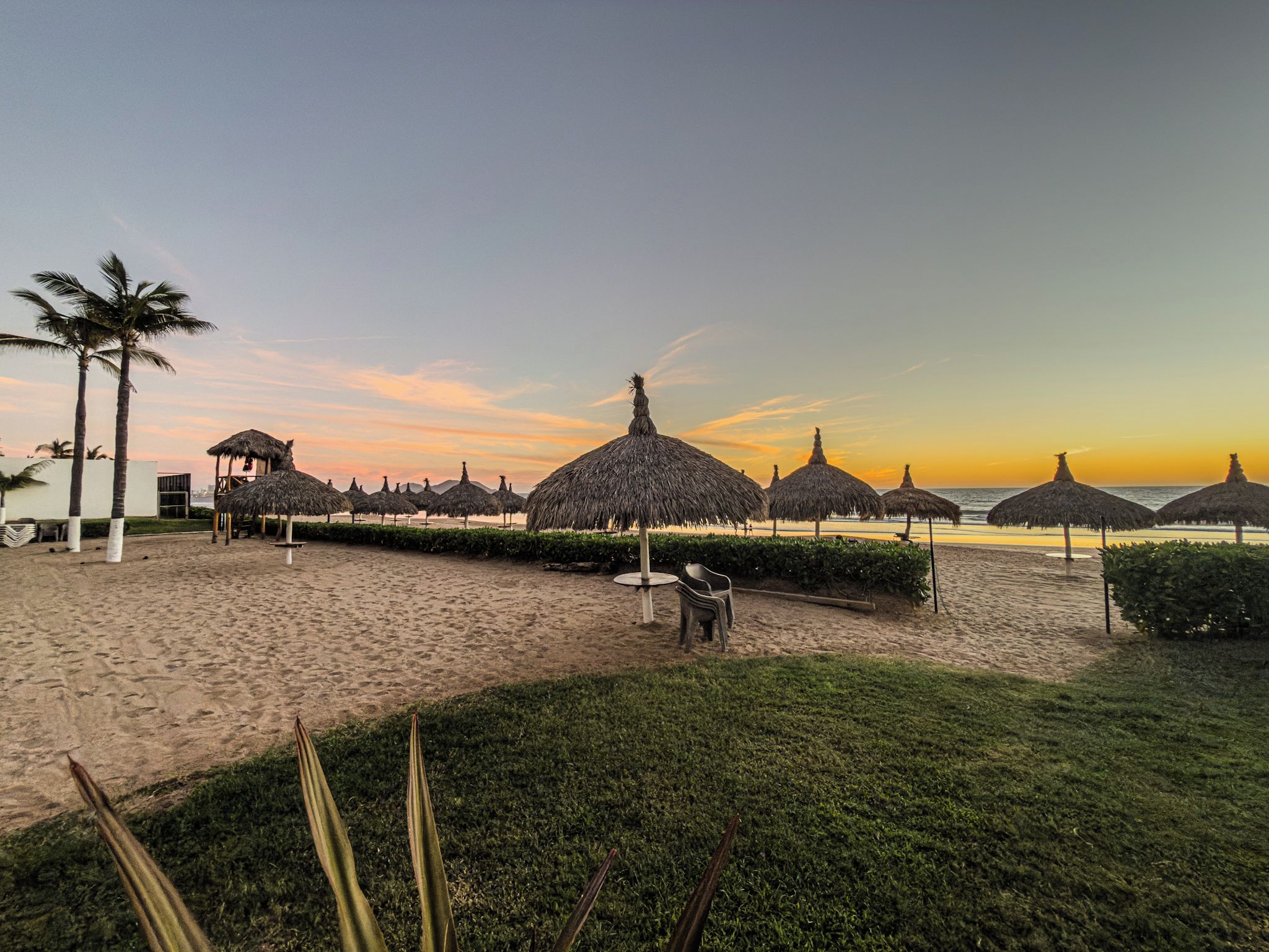 Een strandgebied met rieten parasols, palmbomen en een gazon op de voorgrond.