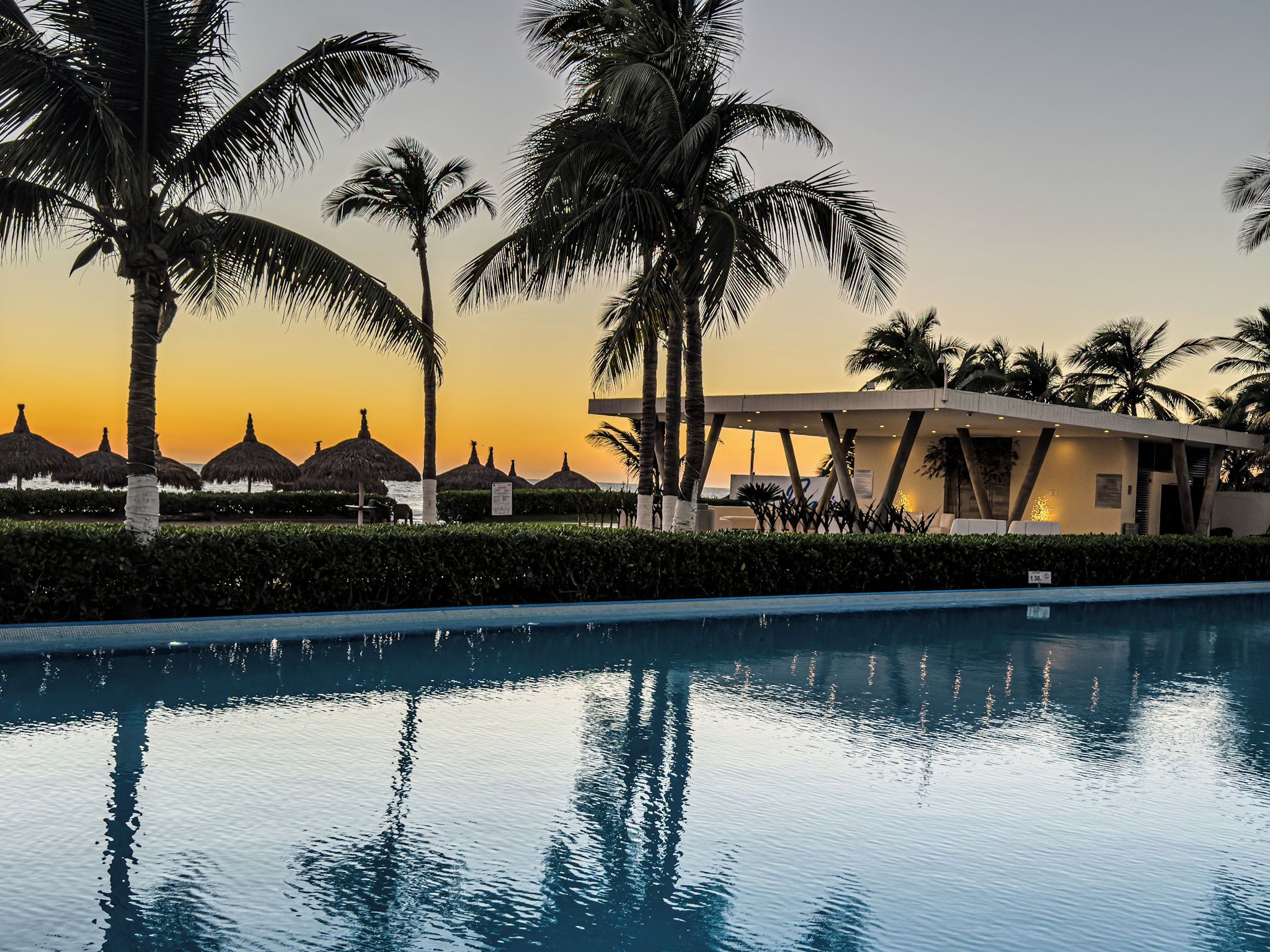 A pool with palm trees and a building with a modern design.